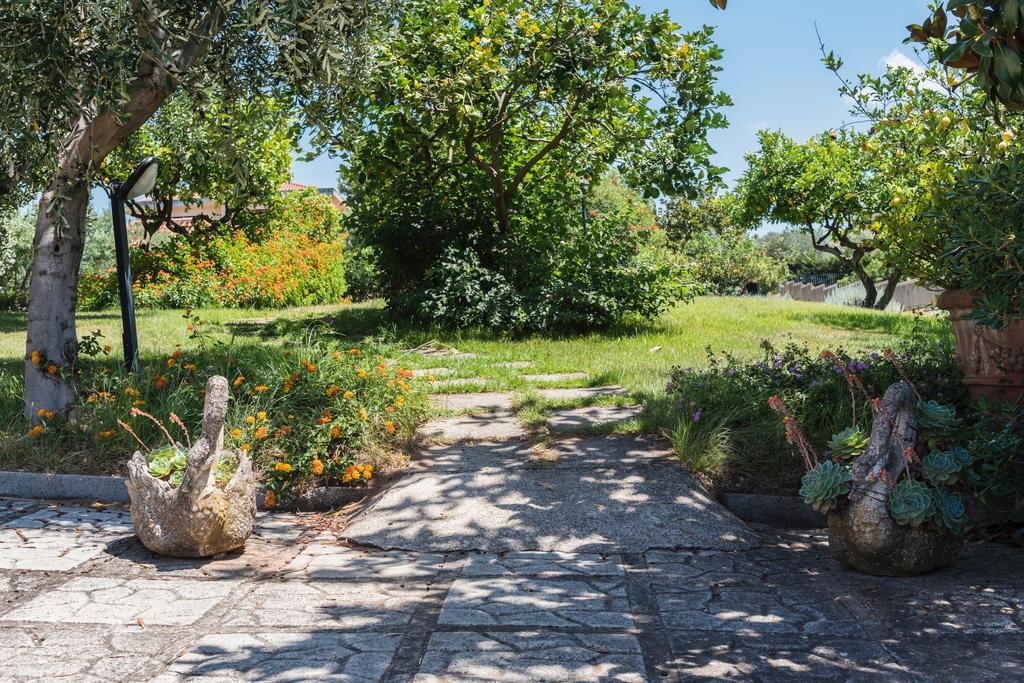 Villa Tina Santa Maria di Castellabate Exteriér fotografie