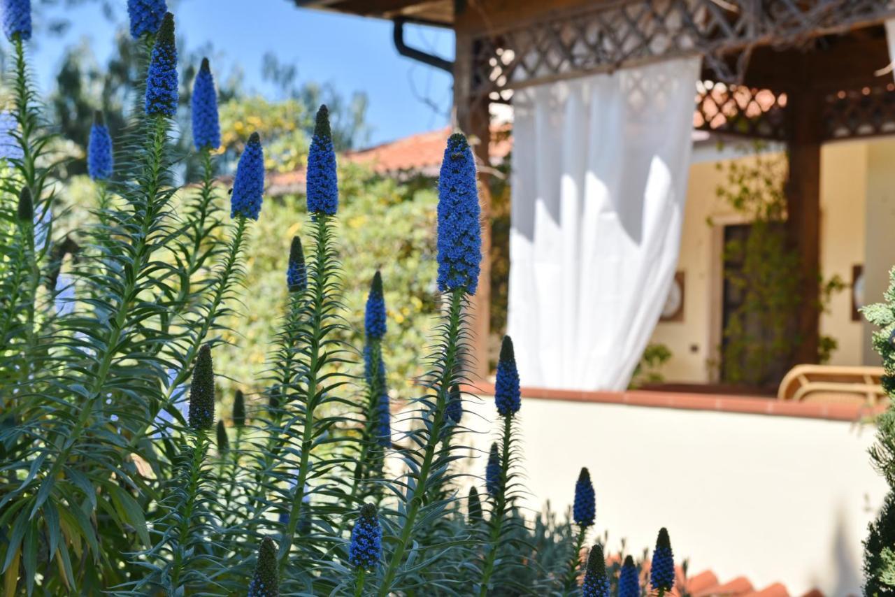 Villa Tina Santa Maria di Castellabate Exteriér fotografie